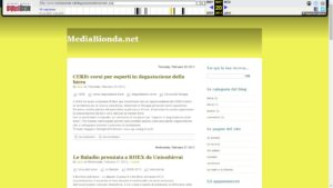 MediaBionda.net, versione maggio 2013